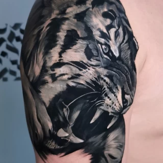 Tiger - Realism, Microrealism and Portrait Tattoo - Black Hat Tattoo Dublin - The Black Hat Tattoo