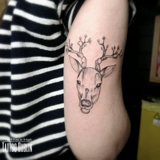 Deer Tattoo - Dublin - Fine lines - The Black Hat Tattoo