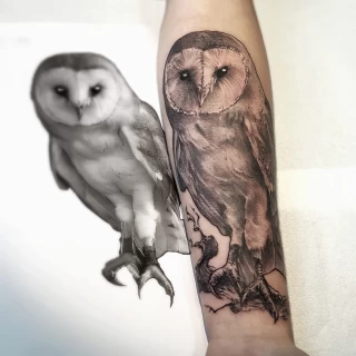 Owl tattoo - Realism, Microrealism and Portrait Tattoo - Black Hat Tattoo Dublin - The Black Hat Tattoo