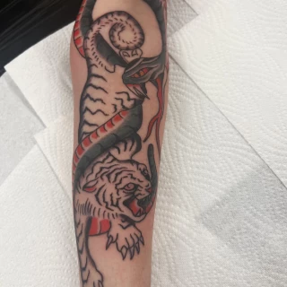 Alexander- guest artist - traditionnal old school - tiger and snake - colorwork - Black Hat Dublin - 2025 - The Black Hat Tattoo