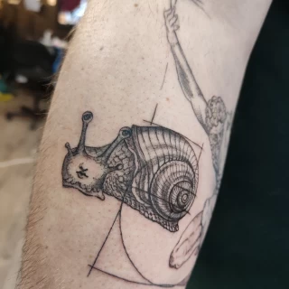 Snail fine lines - Minimalism Dotwork and Linework  - Black Hat Tattoo Dublin - The Black Hat Tattoo