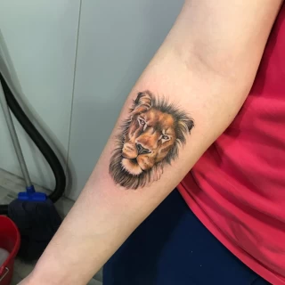 Lion tattoo on arm - Color Watercolor and Sketch Tattoos - Black Hat Tattoo Dublin - The Black Hat Tattoo