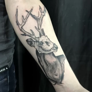 Deer Tattoo - Dublin - realism - The Black Hat Tattoo