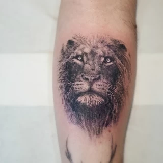 Lion tattoo - Realism, Microrealism and Portrait Tattoo - Black Hat Tattoo Dublin - The Black Hat Tattoo