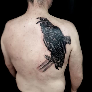 Crow Black Tattoo on Shoulder - Blackwork Darkwork - Black Hat Tattoo Dublin - The Black Hat Tattoo