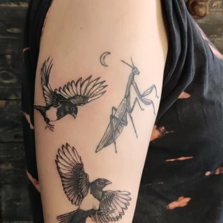 insects and birds - Small Tattoo idea - Black Hat Tattoo Dublin - The Black Hat Tattoo